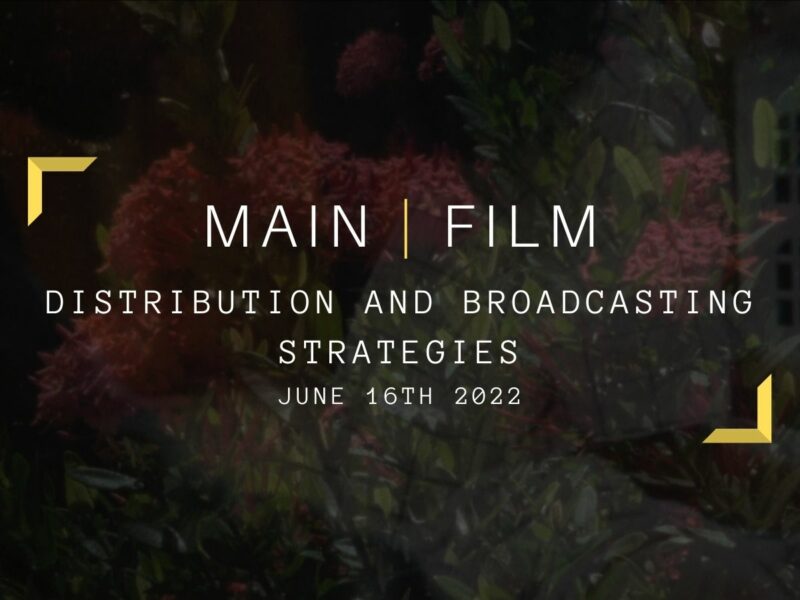 Distribution and broadcasting strategies | Online