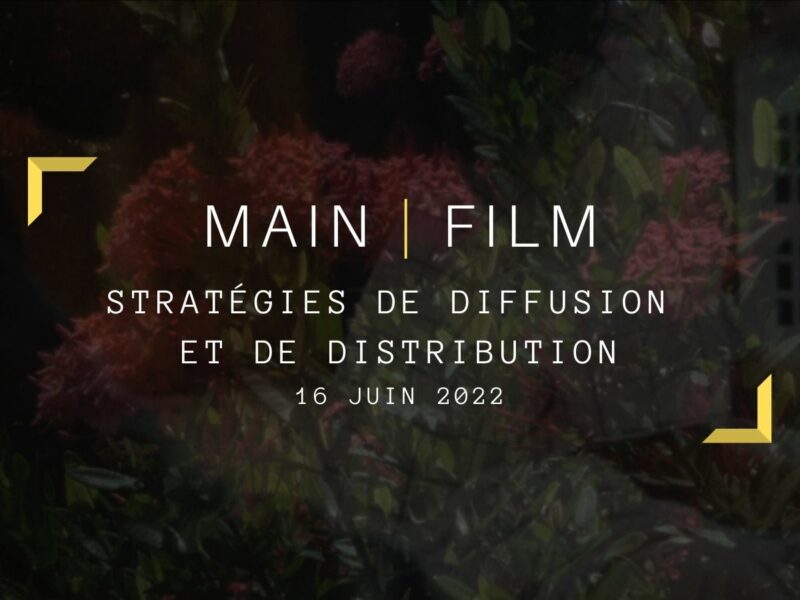 Stratégies de diffusion et de distribution | En présentiel