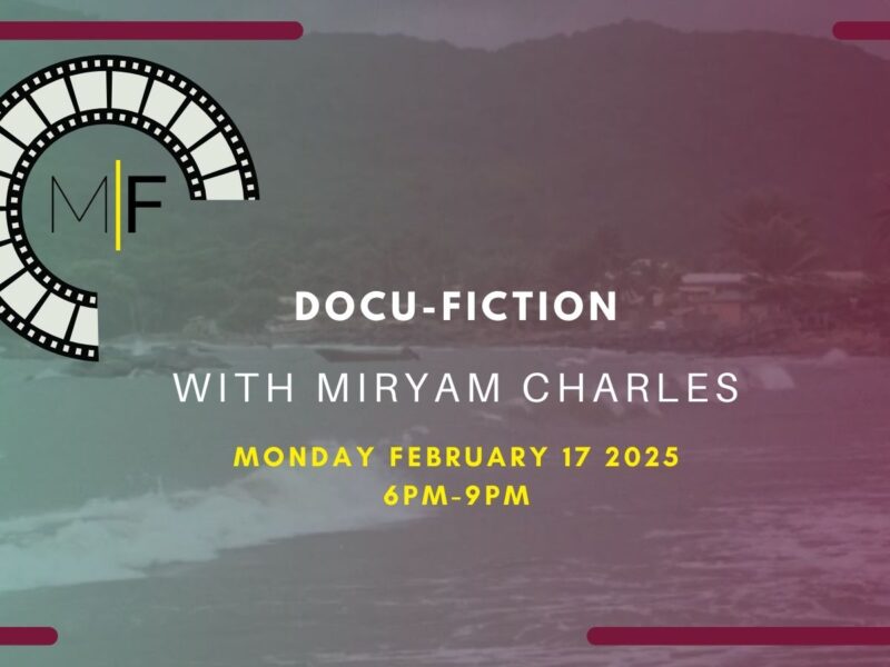 Docu-fiction