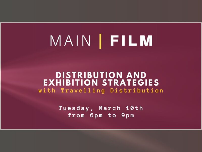 Distribution and exhibition strategies